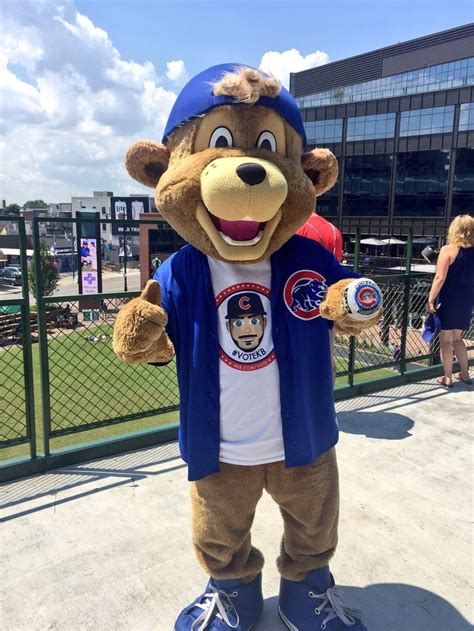 The Cubs Mascot Knob: A Mascot's Perspective